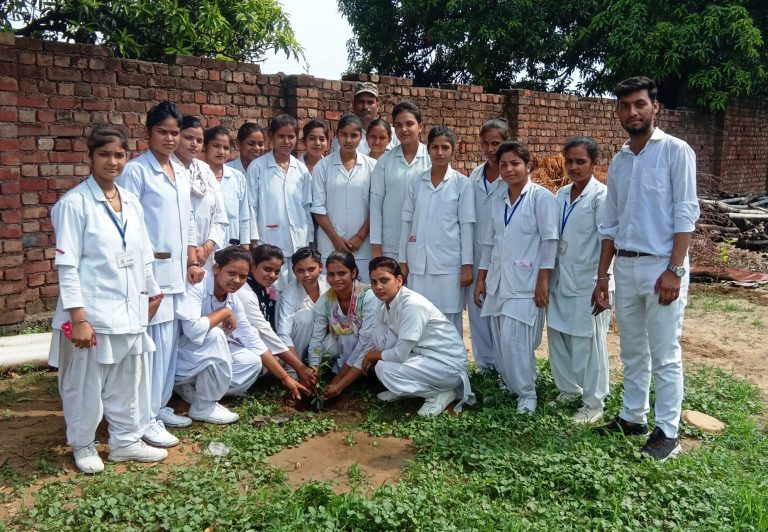 Tree Planting